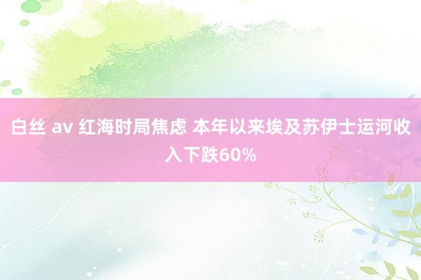 白丝 av 红海时局焦虑 本年以来埃及苏伊士运河收入下跌60%