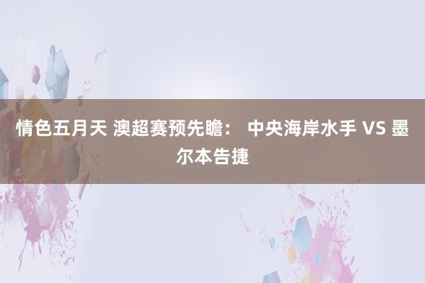 情色五月天 澳超赛预先瞻: 中央海岸水手 VS 墨尔本告捷