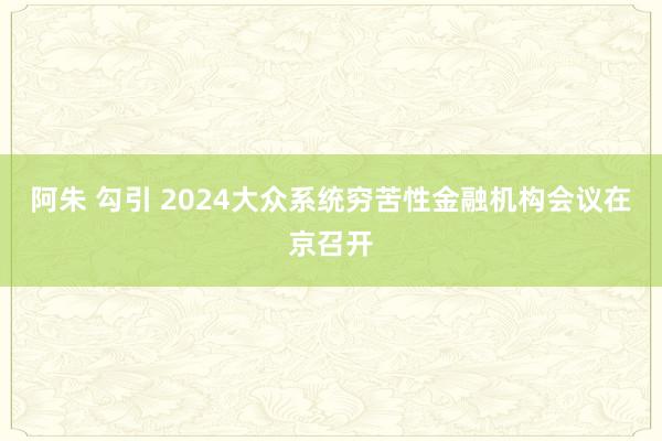 阿朱 勾引 2024大众系统穷苦性金融机构会议在京召开
