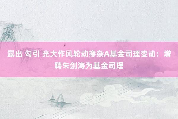 露出 勾引 光大作风轮动搀杂A基金司理变动：增聘朱剑涛为基金司理