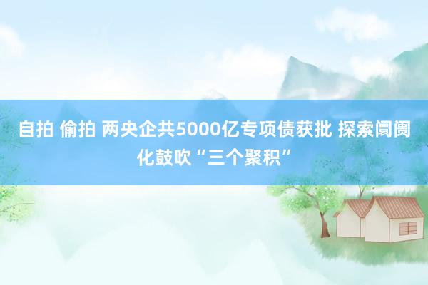 自拍 偷拍 两央企共5000亿专项债获批 探索阛阓化鼓吹“三个聚积”