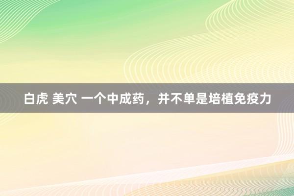 白虎 美穴 一个中成药，并不单是培植免疫力