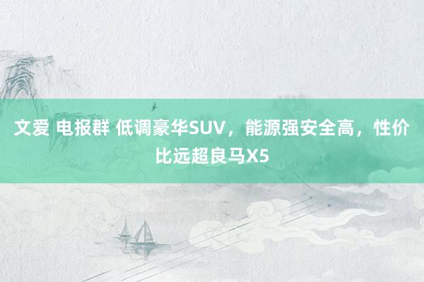 文爱 电报群 低调豪华SUV，能源强安全高，性价比远超良马X5