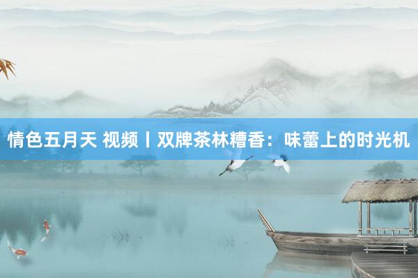 情色五月天 视频丨双牌茶林糟香：味蕾上的时光机