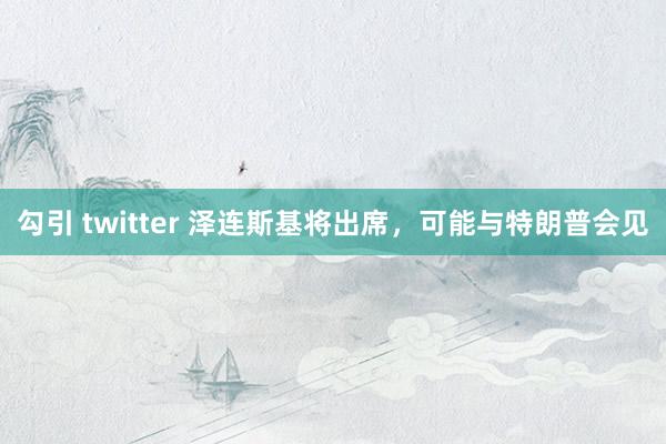 勾引 twitter 泽连斯基将出席，可能与特朗普会见