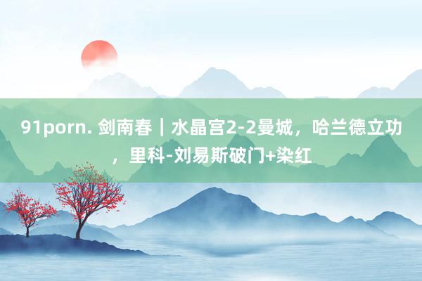 91porn. 剑南春｜水晶宫2-2曼城，哈兰德立功，里科-刘易斯破门+染红