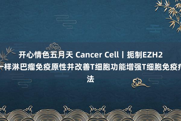 开心情色五月天 Cancer Cell丨扼制EZH2可一样淋巴瘤免疫原性并改善T细胞功能增强T细胞免疫疗法