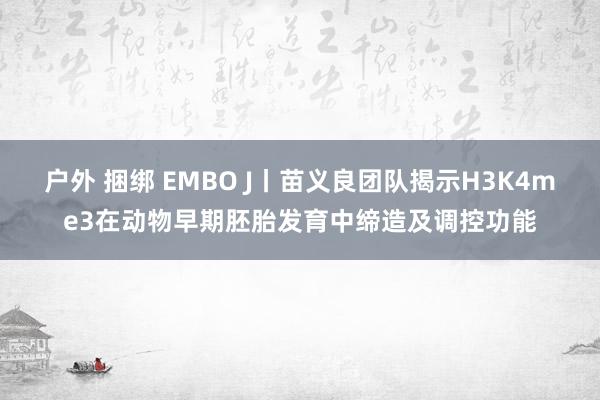 户外 捆绑 EMBO J丨苗义良团队揭示H3K4me3在动物早期胚胎发育中缔造及调控功能