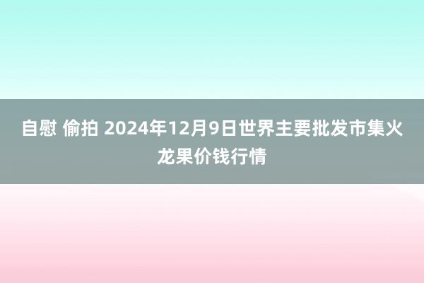 自慰 偷拍 2024年12月9日世界主要批发市集火龙果价钱行情