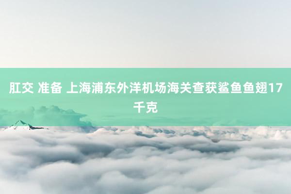 肛交 准备 上海浦东外洋机场海关查获鲨鱼鱼翅17千克