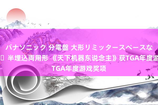 パナソニック 分電盤 大形リミッタースペースなし 露出・半埋込両用形 《天下机器东说念主》获TGA年度游戏奖项