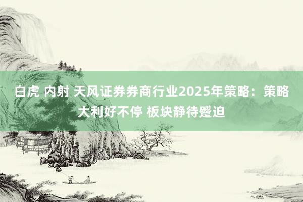 白虎 内射 天风证券券商行业2025年策略：策略大利好不停 板块静待蹙迫
