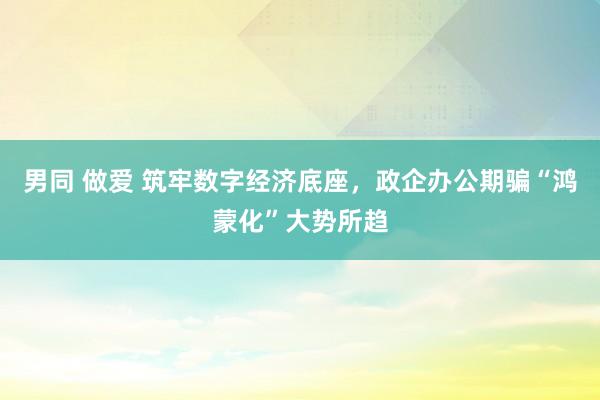 男同 做爱 筑牢数字经济底座，政企办公期骗“鸿蒙化”大势所趋