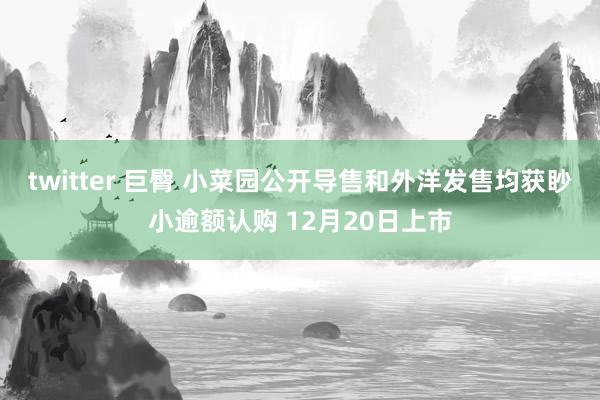 twitter 巨臀 小菜园公开导售和外洋发售均获眇小逾额认购 12月20日上市