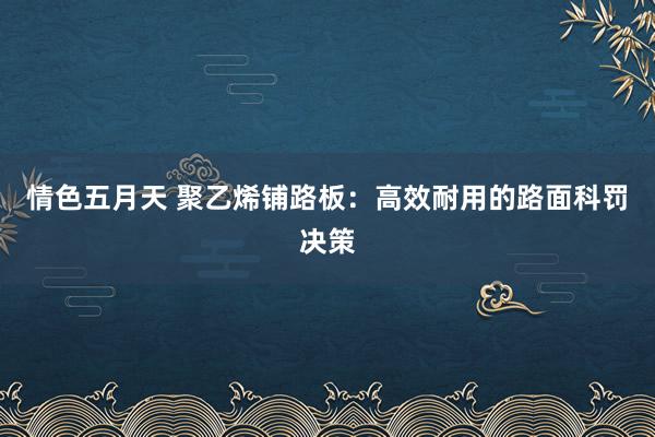 情色五月天 聚乙烯铺路板：高效耐用的路面科罚决策