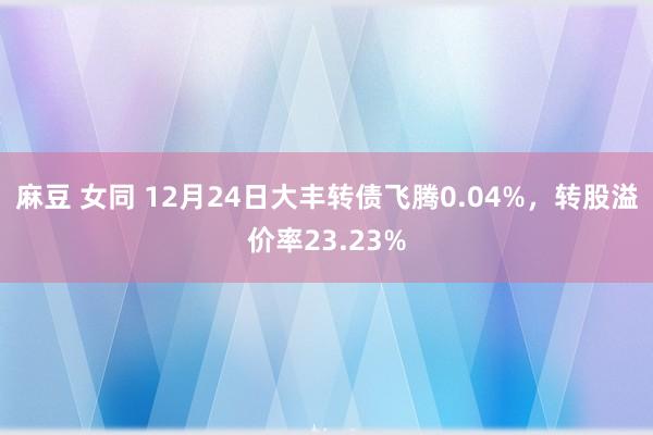 麻豆 女同 12月24日大丰转债飞腾0.04%，转股溢价率23.23%