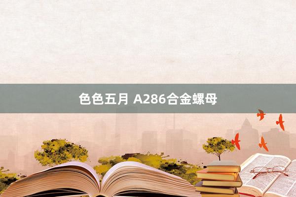 色色五月 A286合金螺母