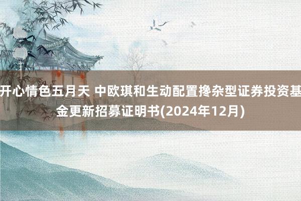 开心情色五月天 中欧琪和生动配置搀杂型证券投资基金更新招募证明书(2024年12月)