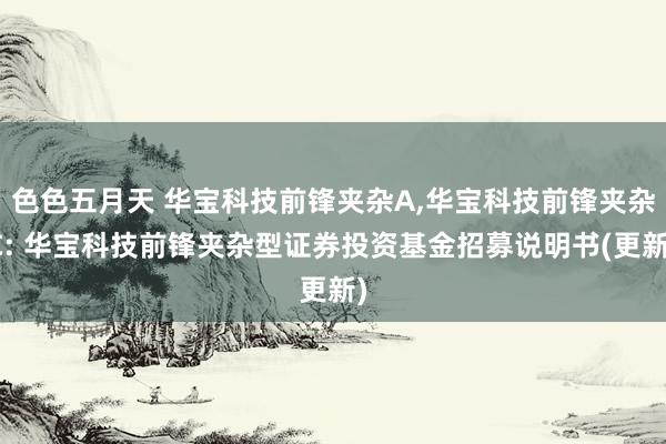 色色五月天 华宝科技前锋夹杂A,华宝科技前锋夹杂C: 华宝科技前锋夹杂型证券投资基金招募说明书(更新)