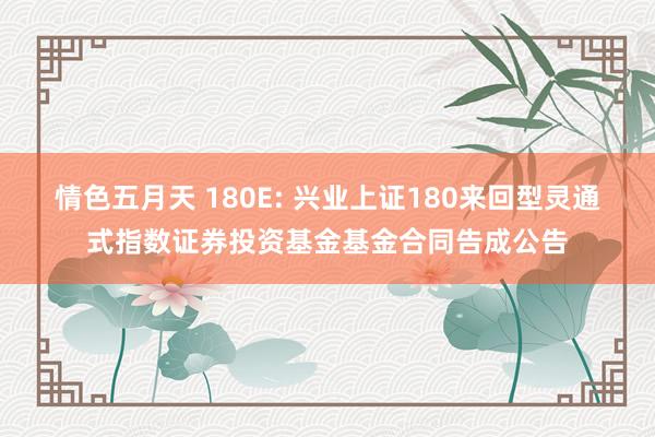 情色五月天 180E: 兴业上证180来回型灵通式指数证券投资基金基金合同告成公告