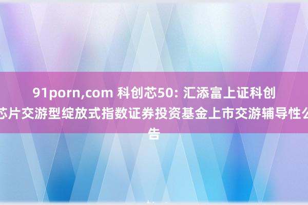 91porn，com 科创芯50: 汇添富上证科创板芯片交游型绽放式指数证券投资基金上市交游辅导性公告