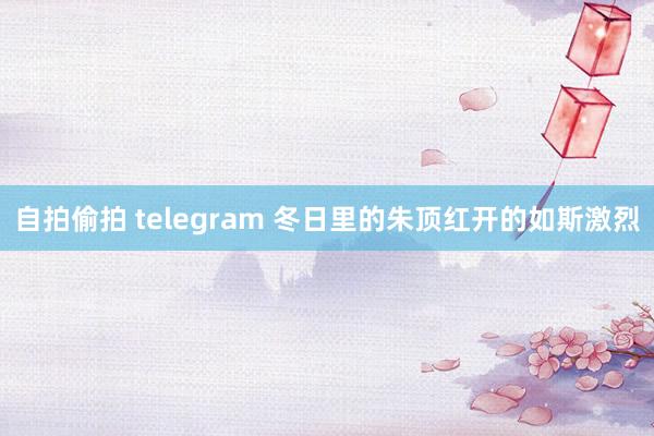 自拍偷拍 telegram 冬日里的朱顶红开的如斯激烈
