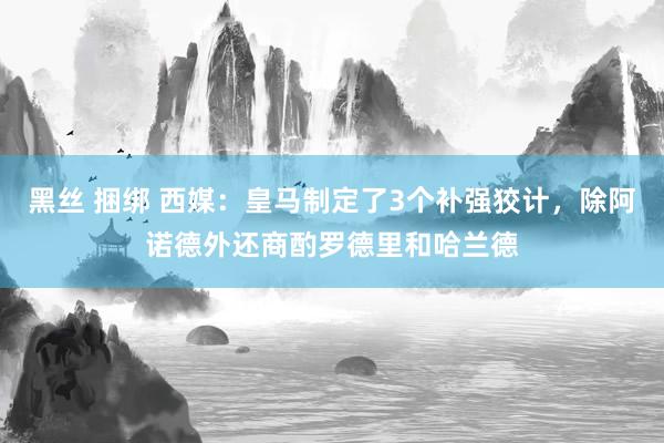 黑丝 捆绑 西媒：皇马制定了3个补强狡计，除阿诺德外还商酌罗德里和哈兰德