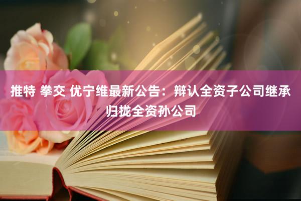 推特 拳交 优宁维最新公告：辩认全资子公司继承归拢全资孙公司