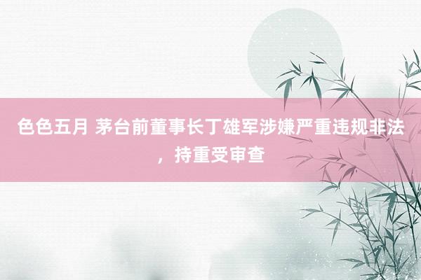 色色五月 茅台前董事长丁雄军涉嫌严重违规非法，持重受审查