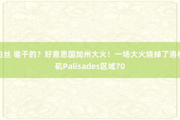 白丝 谁干的？好意思国加州大火！一场大火烧掉了洛杉矶Palisades区域70