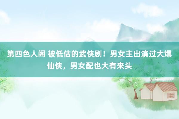 第四色人阁 被低估的武侠剧！男女主出演过大爆仙侠，男女配也大有来头