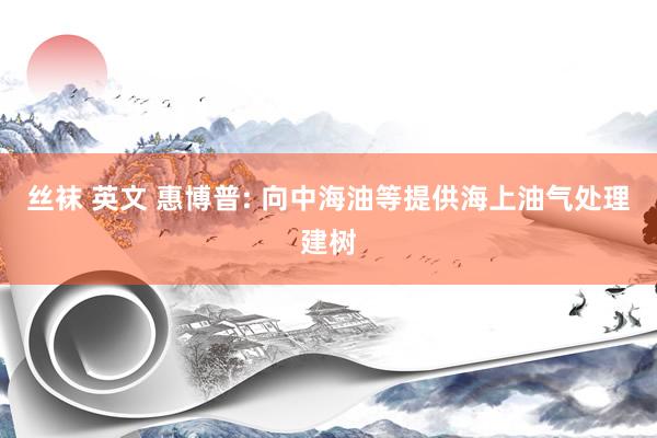 丝袜 英文 惠博普: 向中海油等提供海上油气处理建树
