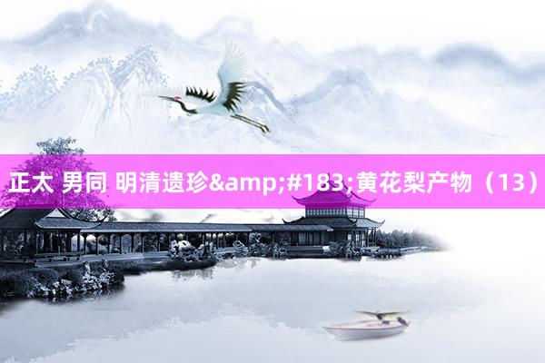 正太 男同 明清遗珍&#183;黄花梨产物（13）