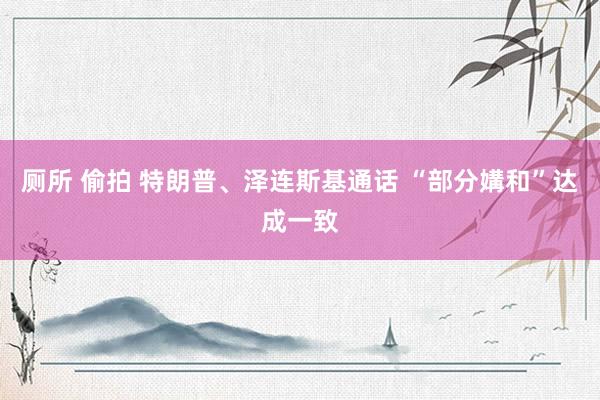 厕所 偷拍 特朗普、泽连斯基通话 “部分媾和”达成一致