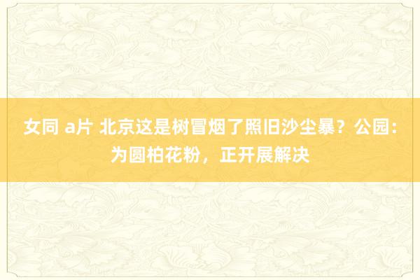 女同 a片 北京这是树冒烟了照旧沙尘暴？公园：为圆柏花粉，正开展解决