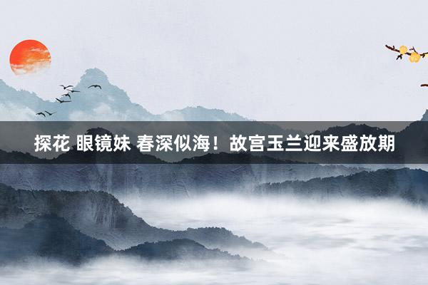探花 眼镜妹 春深似海！故宫玉兰迎来盛放期