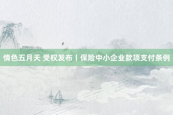 情色五月天 受权发布丨保险中小企业款项支付条例