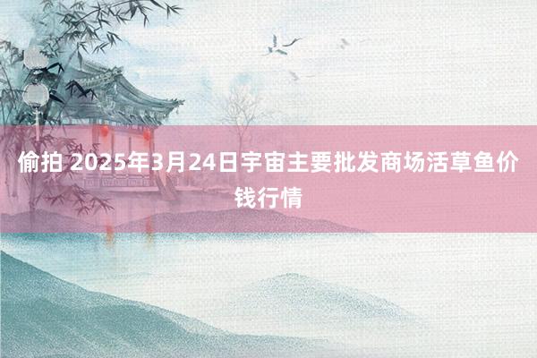 偷拍 2025年3月24日宇宙主要批发商场活草鱼价钱行情