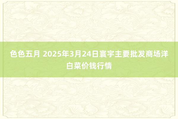 色色五月 2025年3月24日寰宇主要批发商场洋白菜价钱行情