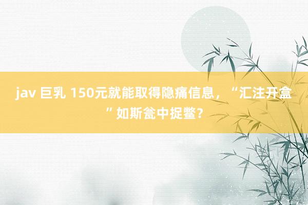 jav 巨乳 150元就能取得隐痛信息，“汇注开盒”如斯瓮中捉鳖？