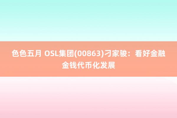 色色五月 OSL集团(00863)刁家骏：看好金融金钱代币化发展