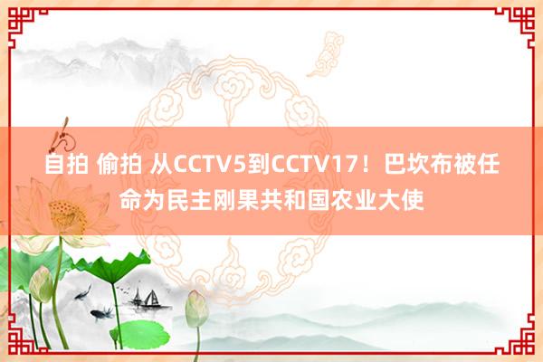 自拍 偷拍 从CCTV5到CCTV17！巴坎布被任命为民主刚果共和国农业大使