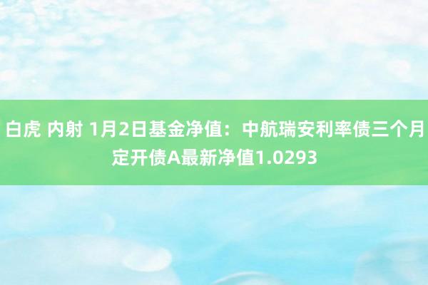 白虎 内射 1月2日基金净值：中航瑞安利率债三个月定开债A最新净值1.0293