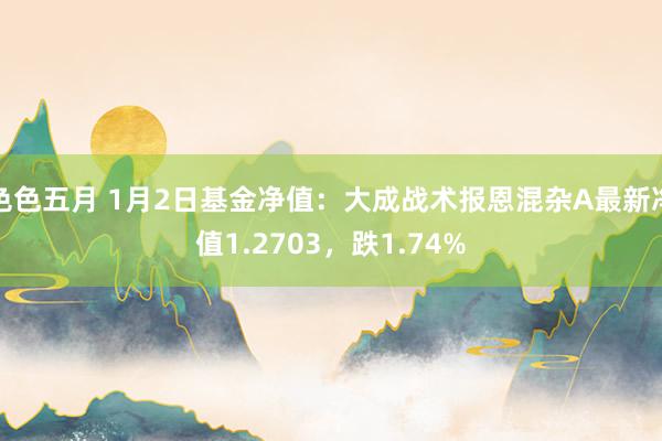 色色五月 1月2日基金净值：大成战术报恩混杂A最新净值1.2703，跌1.74%