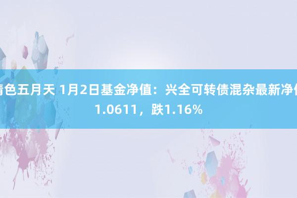 情色五月天 1月2日基金净值：兴全可转债混杂最新净值1.0611，跌1.16%