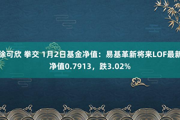 徐可欣 拳交 1月2日基金净值：易基革新将来LOF最新净值0.7913，跌3.02%