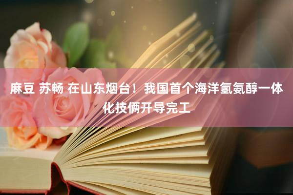 麻豆 苏畅 在山东烟台！我国首个海洋氢氨醇一体化技俩开导完工