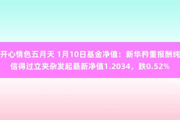开心情色五月天 1月10日基金净值：新华矜重报酬纯信得过立夹杂发起最新净值1.2034，跌0.52%