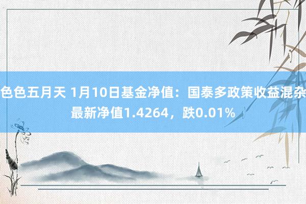 色色五月天 1月10日基金净值：国泰多政策收益混杂最新净值1.4264，跌0.01%