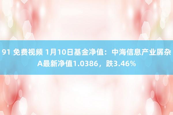91 免费视频 1月10日基金净值：中海信息产业羼杂A最新净值1.0386，跌3.46%